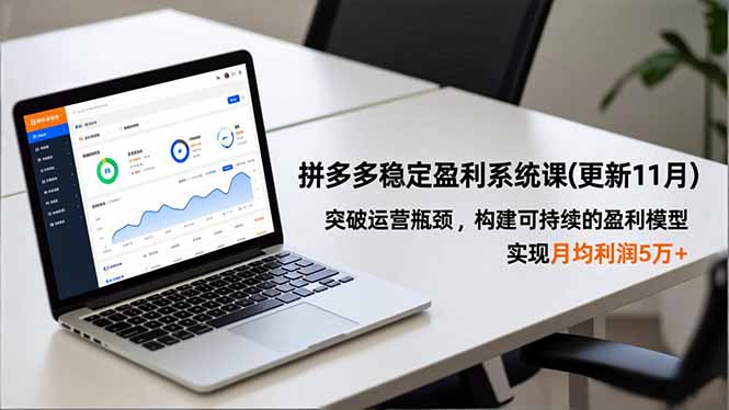 拼多多稳定盈利系统课(更新11月