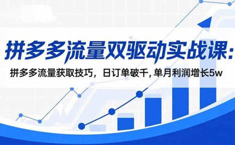 拼多多流量双驱动实战课:拼多多流量获取技巧,日订单破千,单月利润增长5w