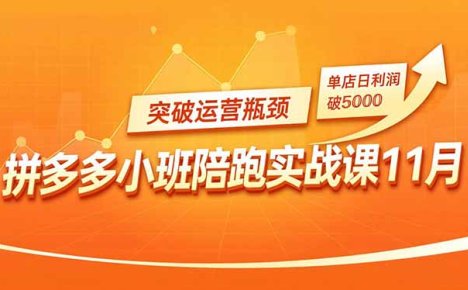 拼多多小班陪跑实战课11月,强付费矩阵、原价活动、暗券引流,突破运营瓶颈,单店日利润破5000