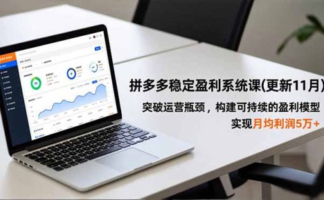 拼多多稳定盈利系统课(更新11月