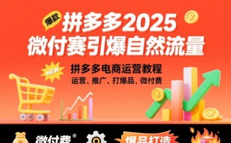 拼多多2025微付费引爆自然流量,拼多多电商运营教程,运营、推广、打爆品、微付费(更新)