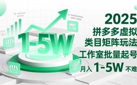 2025 拼多多虚拟类目矩阵玩法,工作室批量起号,月入 1-5W 不难